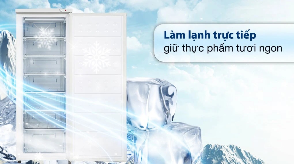 Tủ bảo quản Hòa Phát dạng đứng 208 lít HPF-UAH6208